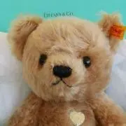 まめぷうの画像