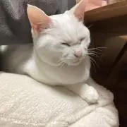 たぬたぬ