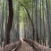 kuuchanの画像