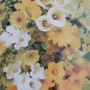 cinzia-alexの画像
