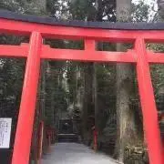 いくらの画像