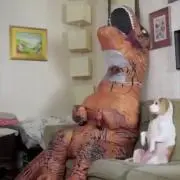 もの画像