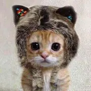 ゆずぽん※お値段は要相談