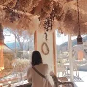 ちゃんちいの画像