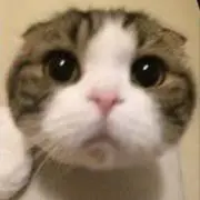 ゆ