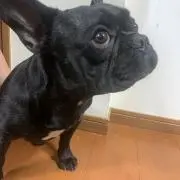 Rena★値下げ交渉可能