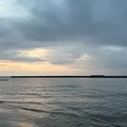 Mの画像