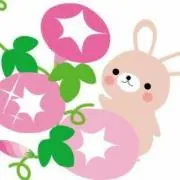 朝顔