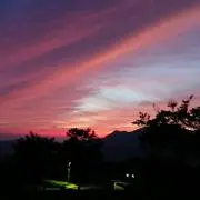 ささの画像