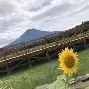YUSUの画像