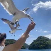 ☆ココア☆の画像