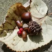 ラブこの画像