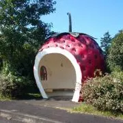 cherry_pineの画像