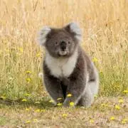 うさぎ★の画像