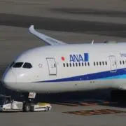 白ネギの画像