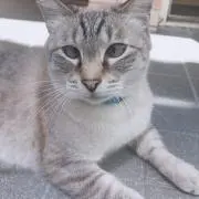 。