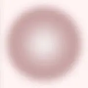 HARU.の画像