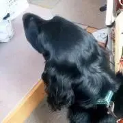 えりじゃ