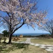 shinの画像