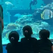 たまちゃん値下げ相談OKの画像