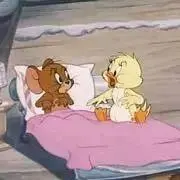 すーの画像