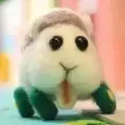 シロモの画像