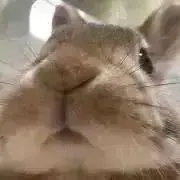 らび☆プロフ御一読いただけると幸いです