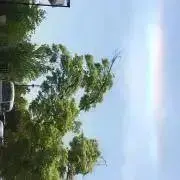 tonjinohahaの画像