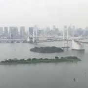 たかなしの画像