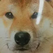 カリン♡