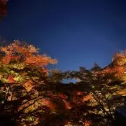 Reinaの画像