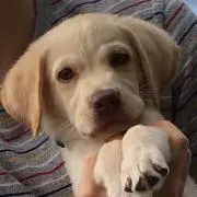 ウシ！？
