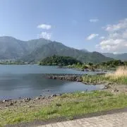 ゆたの画像