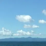 Yの画像