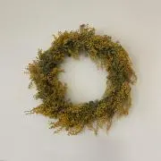 TPTPの画像