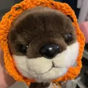 海月の画像