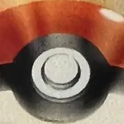 Sの画像