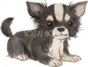 あんこの画像
