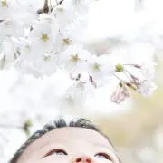 もり