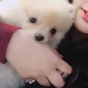 おさの画像