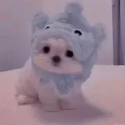 みるひの画像