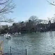 yayaの画像