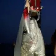 三頭筋