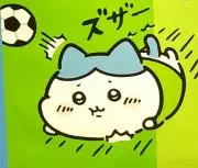 Pinoの画像