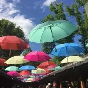 saku39の画像