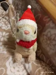 あーくんの画像