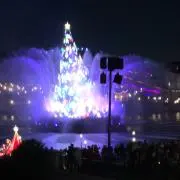 ユキの画像