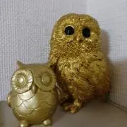 愛してるすーの画像