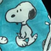 ナズの画像