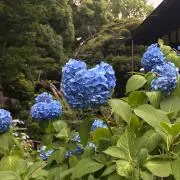…☆ミ